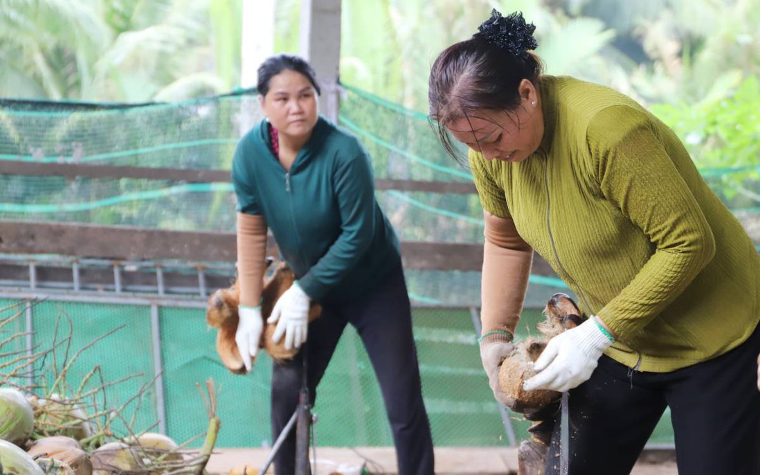 Nhọc nhằn nghề lột vỏ dừa của phụ nữ Vĩnh Long