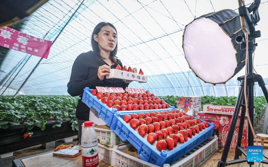 Mô hình 1+1+1: Trung Quốc hướng đến phát triển sinh kế bền vững cho phụ nữ