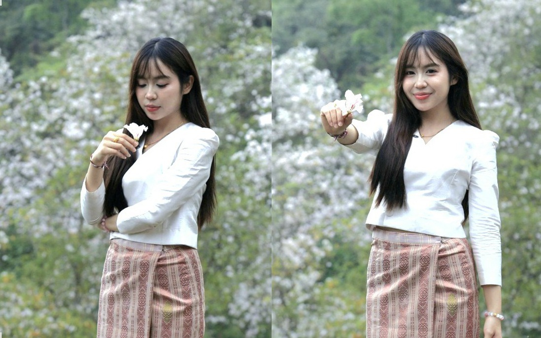 Điện Biên: Rừng ban cổ thụ bung nở hút giới trẻ đến "săn" ảnh