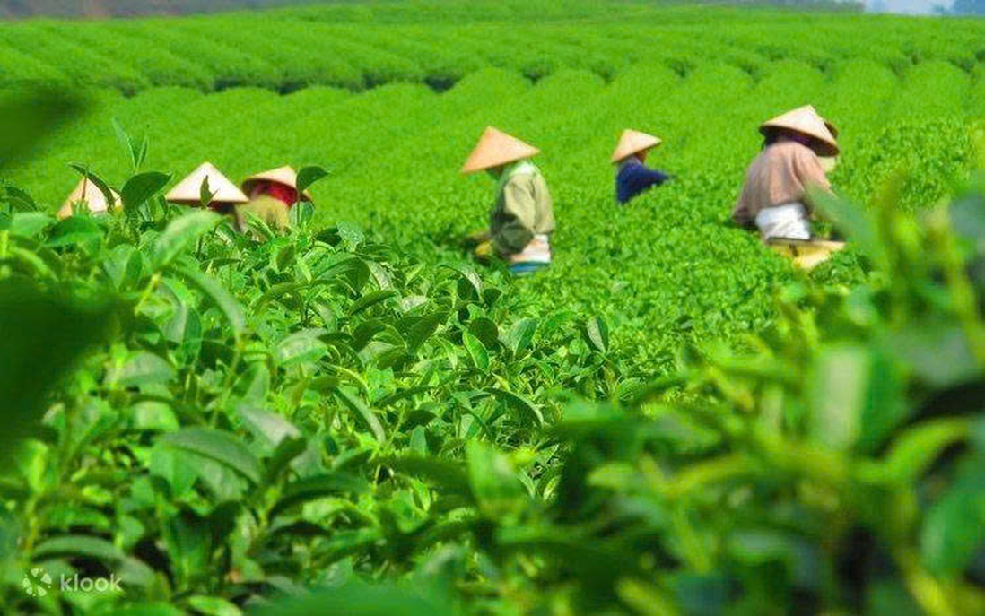 Nguy cơ “sốc chuỗi cung ứng” với nông sản Việt Nam bởi chiến sự tại Trung Đông