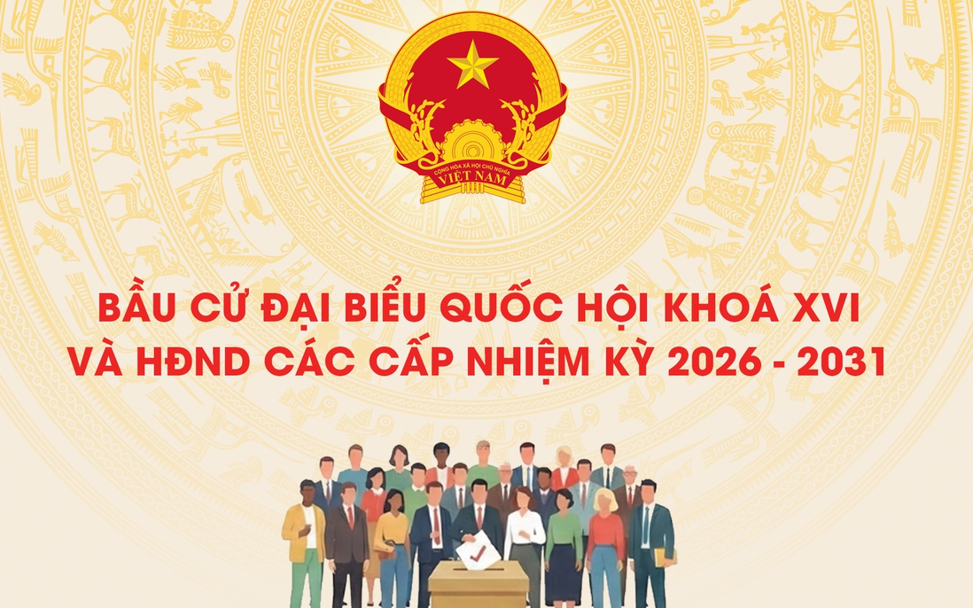 Infographic: Dấu ấn phụ nữ trong kết quả bầu cử đại biểu Quốc hội khóa XVI và HĐND các cấp