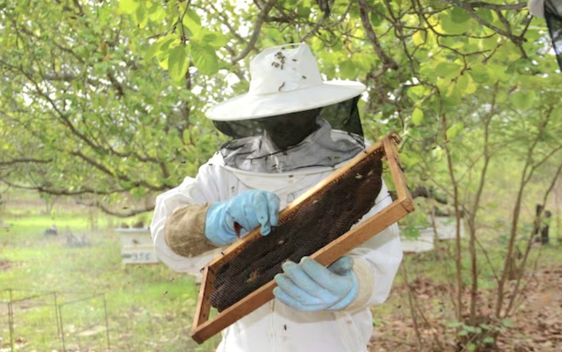 Vì sao nữ nông dân thường bị bỏ qua trong các chương trình thích ứng với biến đổi khí hậu?