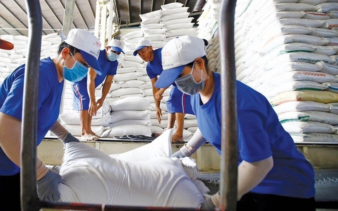 Giá giảm, chi phí tăng: Xuất khẩu gạo chịu áp lực đa chiều