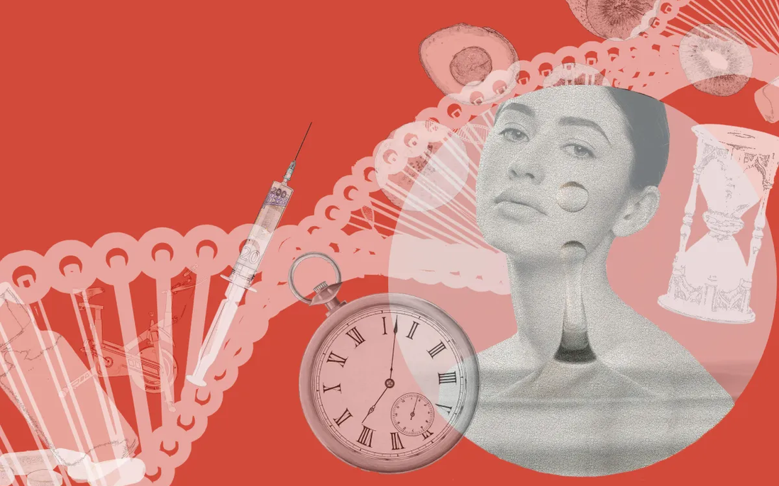 Phụ nữ thúc đẩy ngành công nghiệp kéo dài tuổi thọ