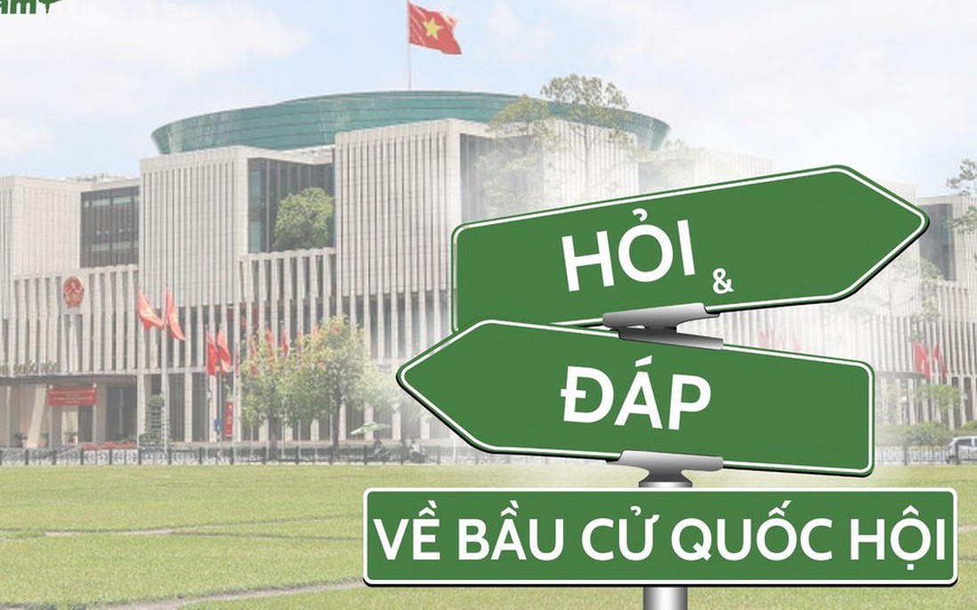 Đại biểu Quốc hội, đại biểu Hội đồng Nhân dân phải đáp ứng những tiêu chuẩn gì?