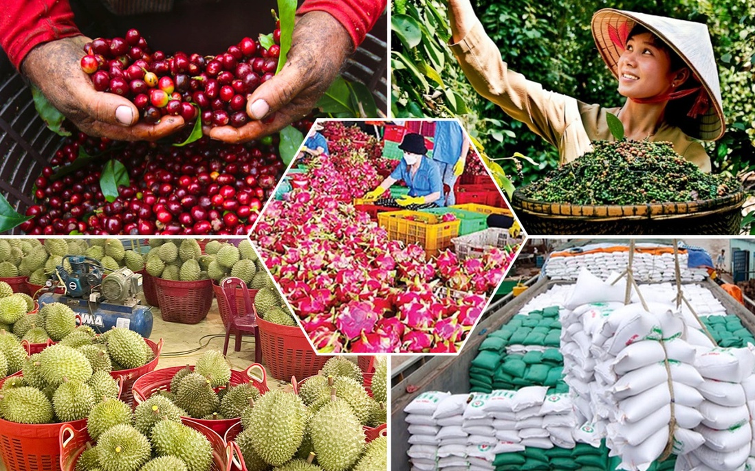 Xuất nhập khẩu Việt Nam đạt gần 250 tỷ USD nhưng "cơn gió ngược" đang mạnh dần