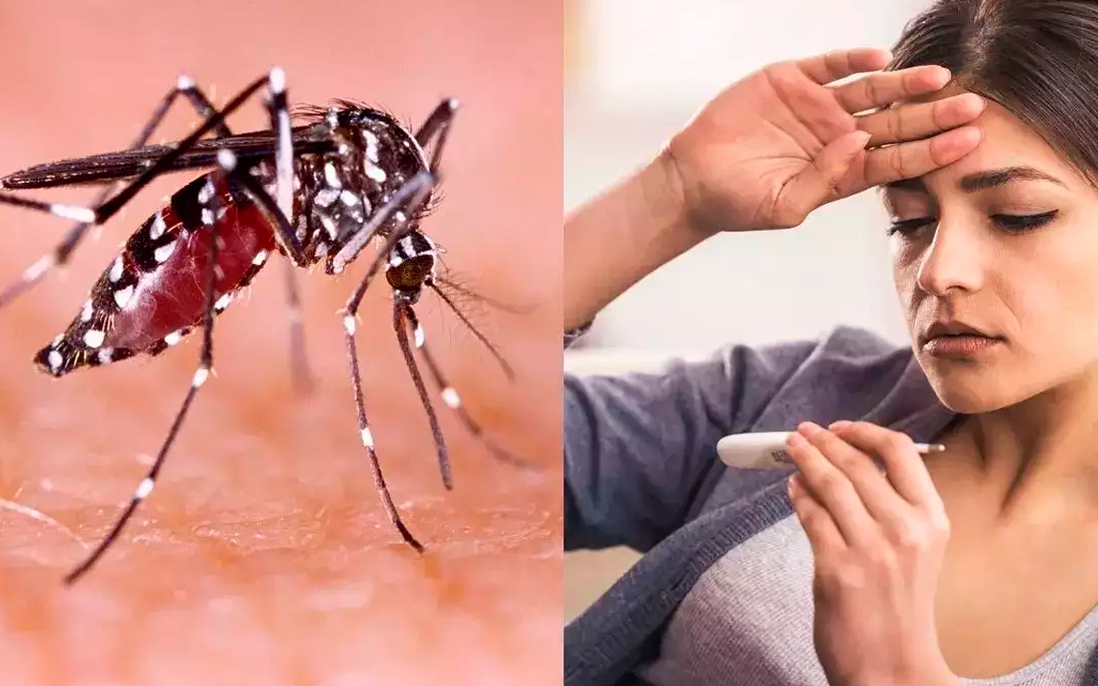 5 biến chứng thần kinh nguy hiểm do sốt xuất huyết