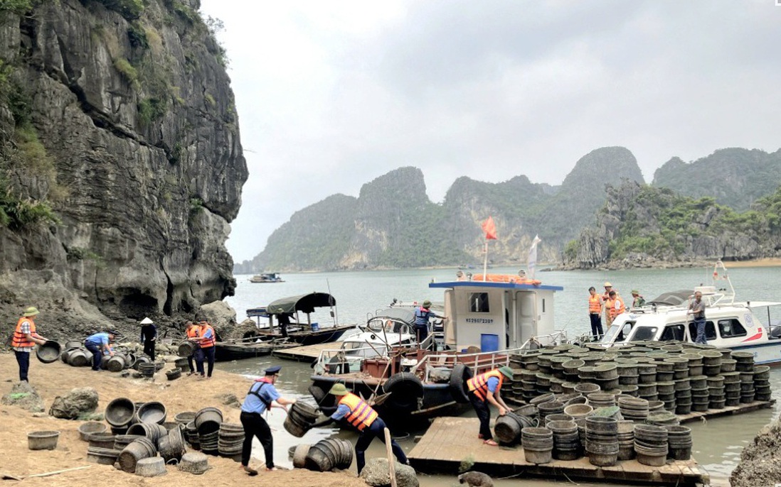 Tạm giữ, tịch thu tang vật một số hộ nuôi thủy sản trái phép trên vịnh Hạ Long