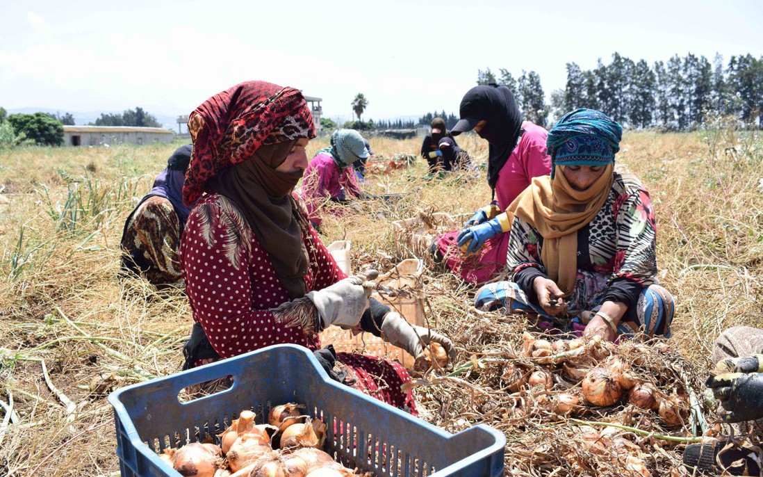 Xung đột tại Trung Đông làm nới rộng khoảng cách giới ở châu Á - Thái Bình Dương