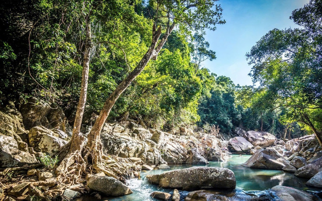 Viết tiếp giấc mơ đổi đời từ du lịch giữa đại ngàn Ba Hồ