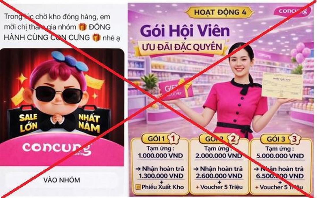 Một phụ nữ mất gần 1 tỷ đồng khi tham gia nhóm “Đồng hành cùng Con Cưng”