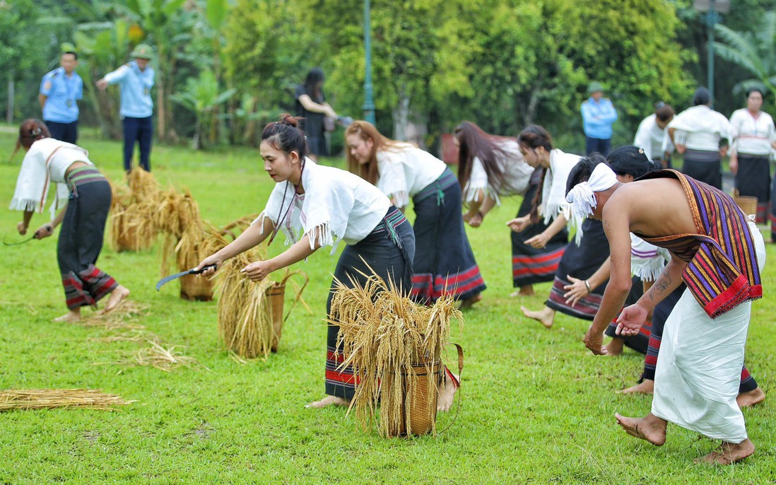 Tái hiện Lễ mừng lúa mới của người Chu Ru giữa lòng Hà Nội