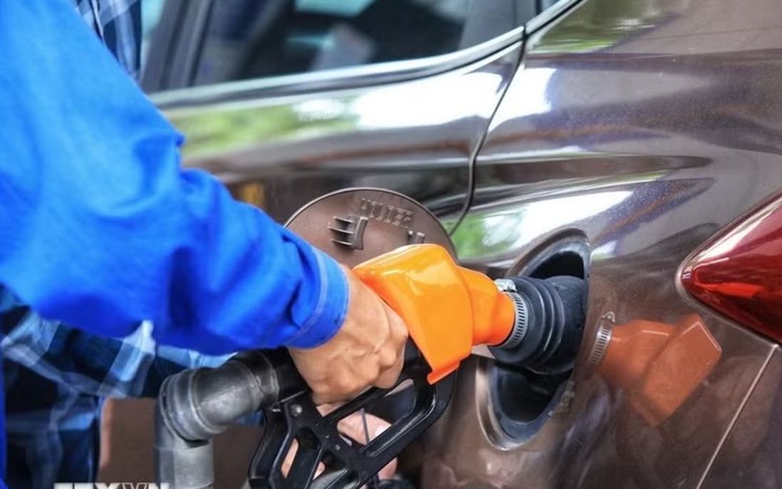 Phạt 390 triệu đồng với 3 thương nhân đầu mối vi phạm quy định dự trữ xăng dầu