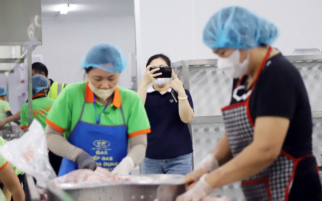 Vụ 300 tấn thịt lợn bệnh: 2 trường ở Hà Nội dùng suất ăn liên quan đến Công ty Cường Phát