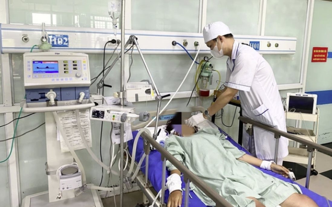 Bị ong rừng tấn công, 8 người nhập viện