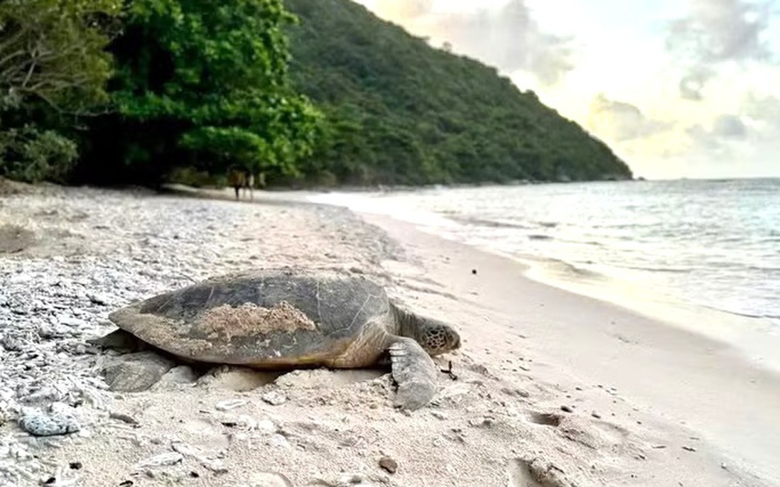 Ngày Trái đất 22/4: “Sức mạnh của chúng ta, hành tinh của chúng ta”