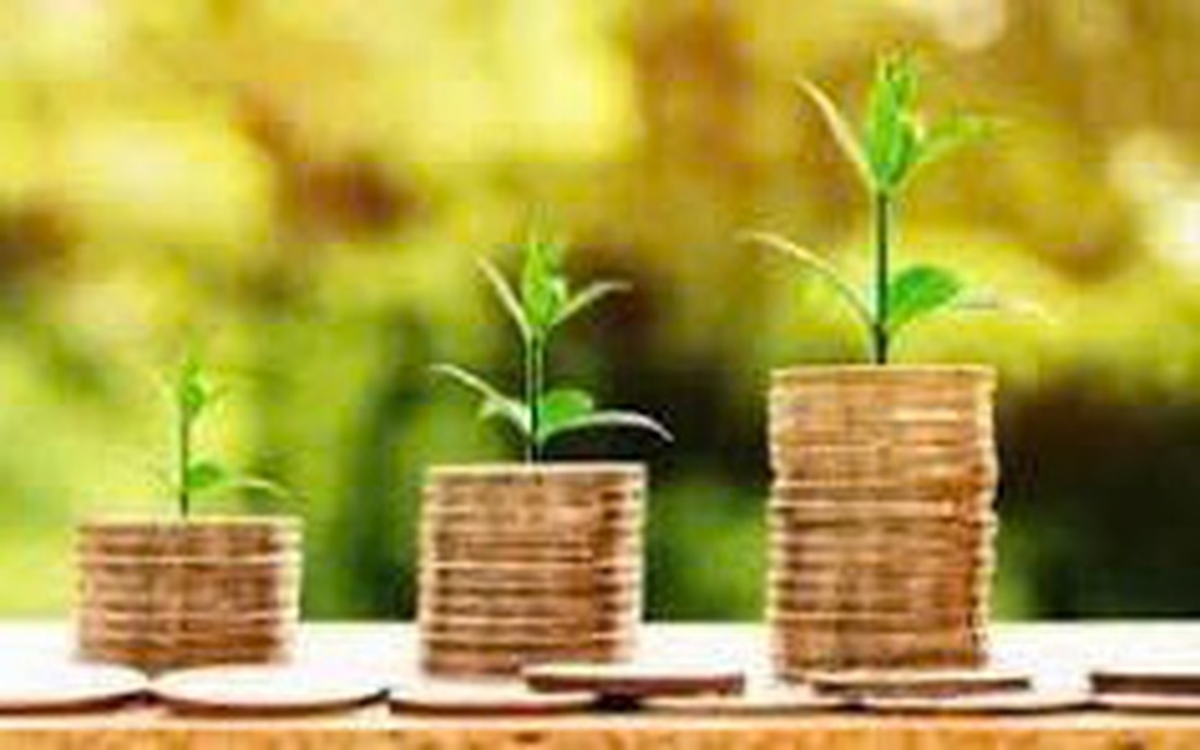 Nhiều doanh nghiệp đẩy mạnh chia cổ tức, mở rộng đầu tư và tái cơ cấu sở hữu