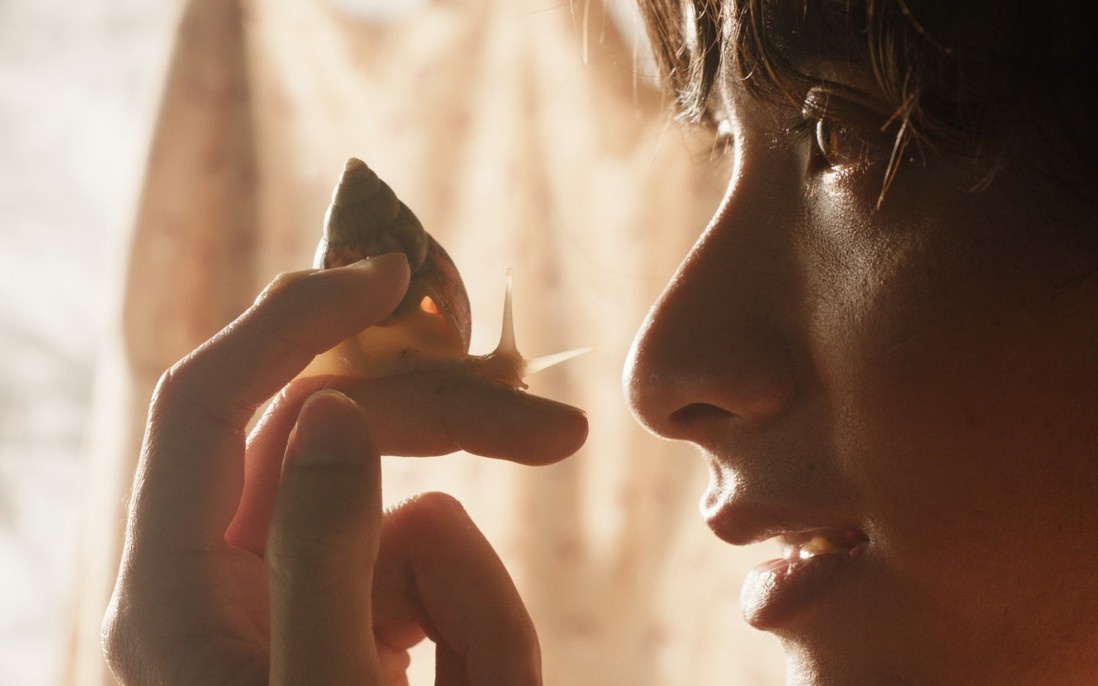 "Giấc mơ là ốc sên" tranh giải tại Liên hoan phim Cannes 2026