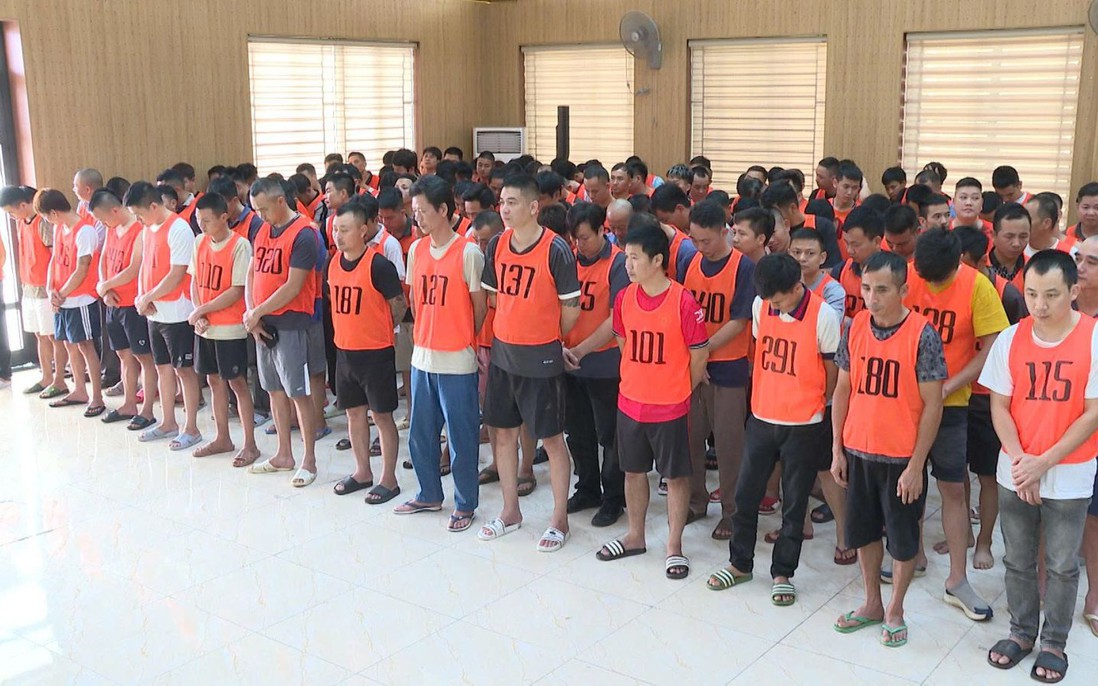 Triệt phá đường dây chọi gà nghìn tỷ, khởi tố 196 bị can