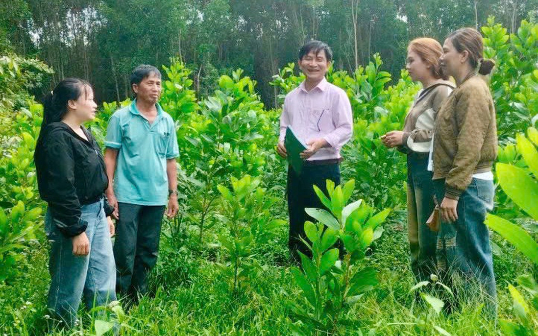 Dấu ấn tín dụng chính sách ở vùng sơn cước