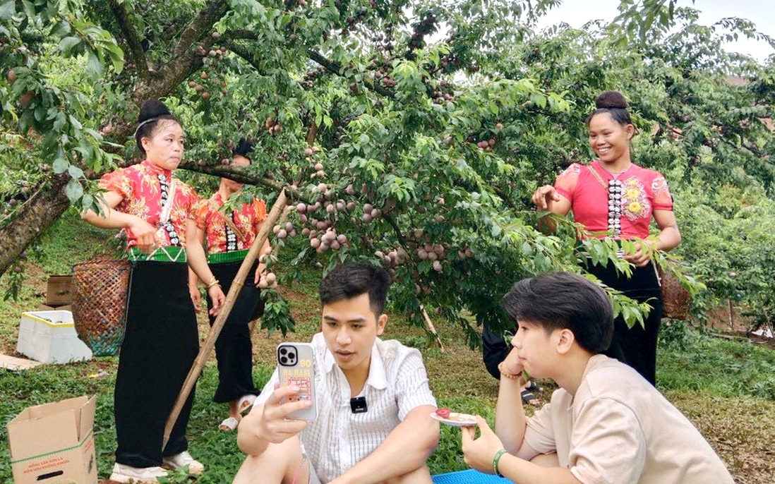 Hiện thực hóa Nghị quyết Đại hội: Hội LHPN Sơn La dẫn dắt hội viên chuyển mình