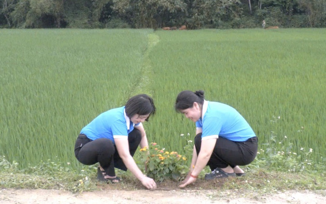 Mô hình "Ruộng lúa - Bờ hoa" chào mừng Đại hội Phụ nữ toàn quốc lần thứ XIV