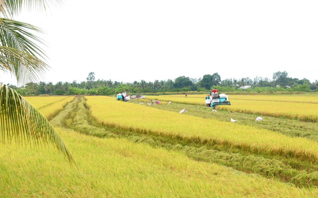 Ban hành Nghị quyết về thúc đẩy phát triển nông nghiệp, nông thôn bền vững