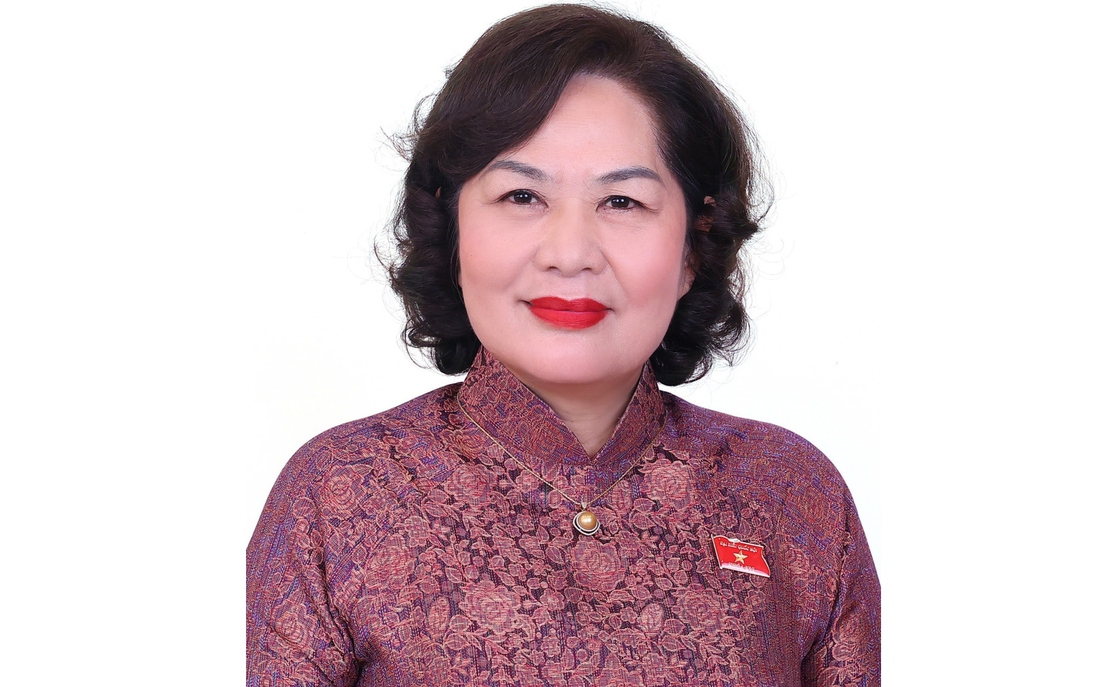 Infographic: Phó Chủ tịch Quốc hội khóa XVI Nguyễn Thị Hồng