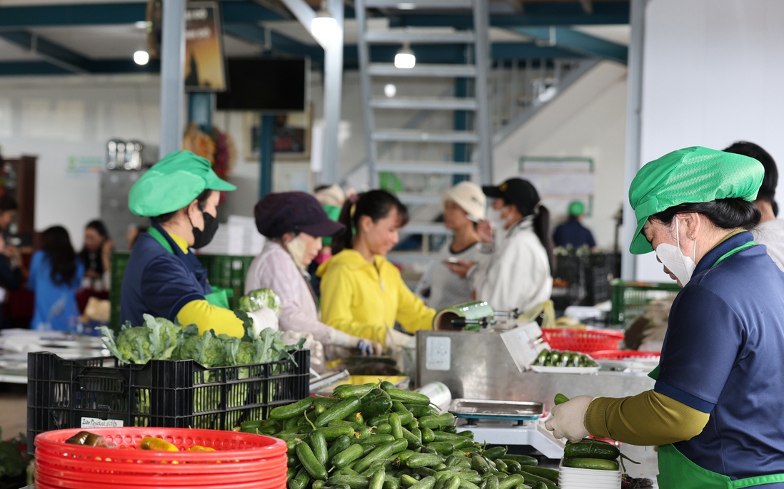 Lâm Đồng: Khẳng định vai trò nòng cốt của Mặt trận trong hành trình chuyển đổi xanh