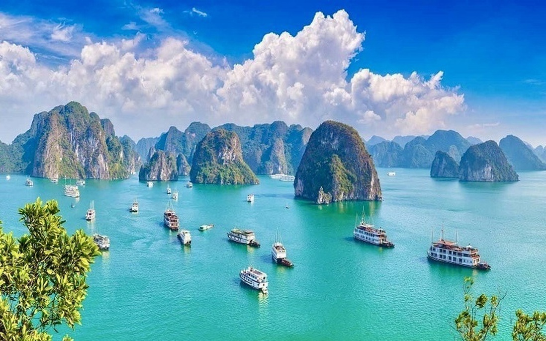 Khách du lịch đến Quảng Ninh đạt gần 8,2 triệu lượt, doanh thu tăng đáng kể