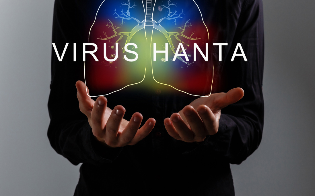 Bộ Y tế trấn an trước thông tin chùm ca bệnh Hanta trên tàu du lịch quốc tế