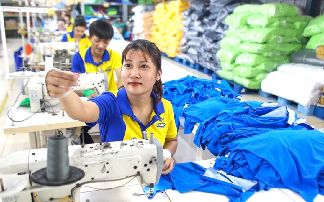 Kinh tế tư nhân Việt Nam "đông nhưng chưa mạnh"