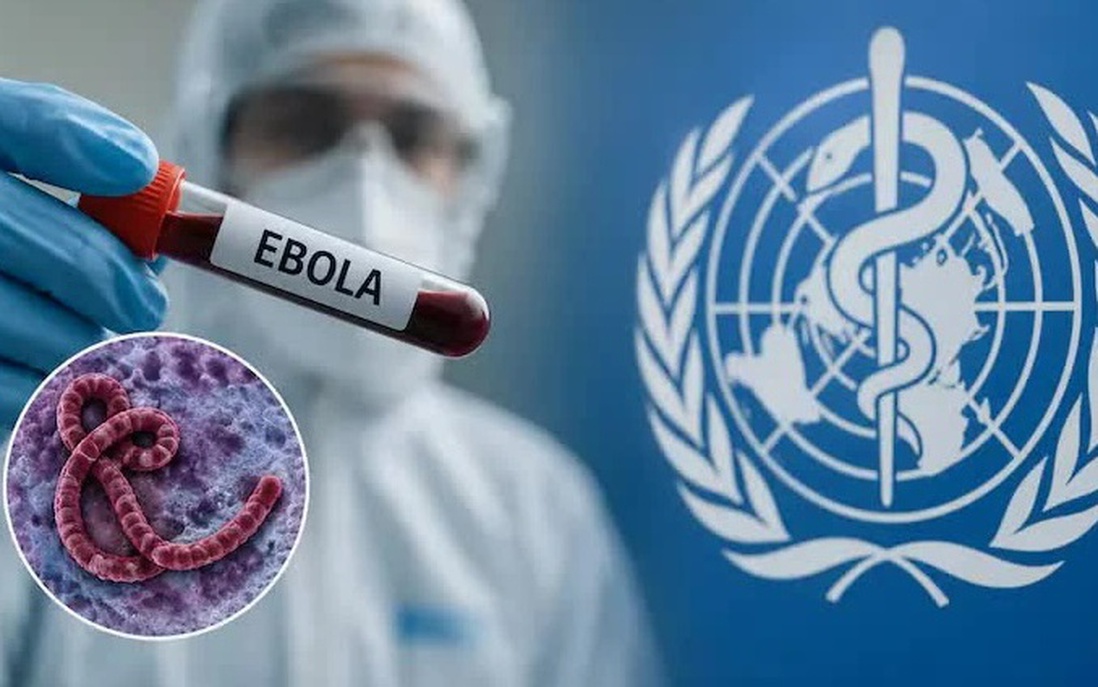 Ghi nhận hơn 200 ca tử vong do virus Ebola bùng phát tại Congo