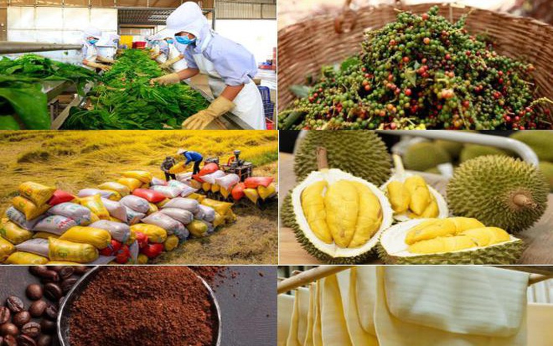 Carbon, truy xuất, dư lượng tối đa cho phép: “Cuộc sát hạch” mới của nông sản Việt trên thị trường toàn cầu