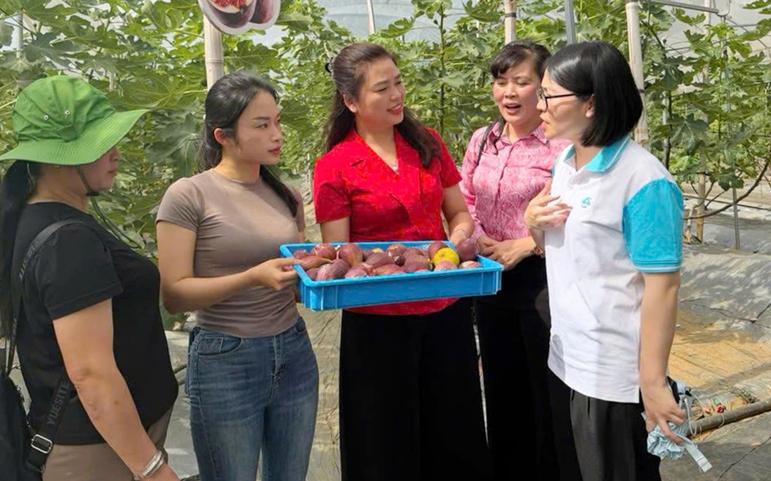 Trao đổi kinh nghiệm hỗ trợ phụ nữ khởi nghiệp tại các tỉnh Tây Bắc