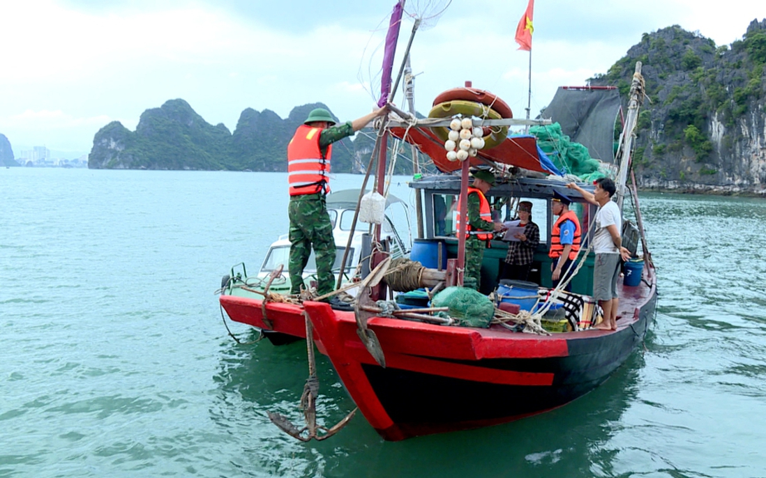 Quảng Ninh: Tăng cường xử lý nạn khai thác tận diệt trên biển