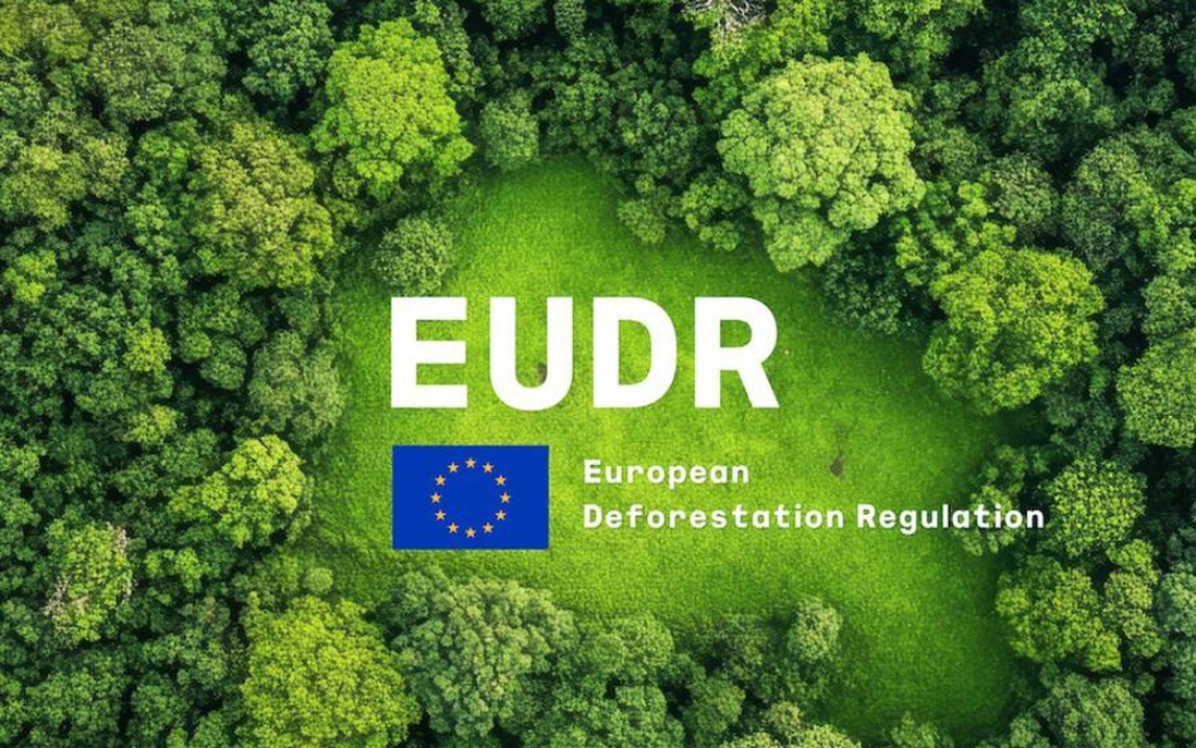 Doanh nghiệp Việt trước phép thử EUDR
