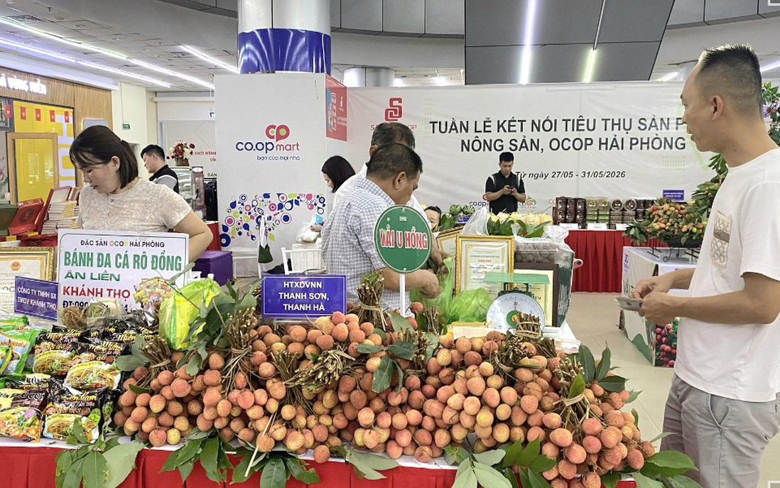 Saigon Co.op đưa vải thiều Thanh Hà đến hơn 800 điểm bán hàng trên cả nước