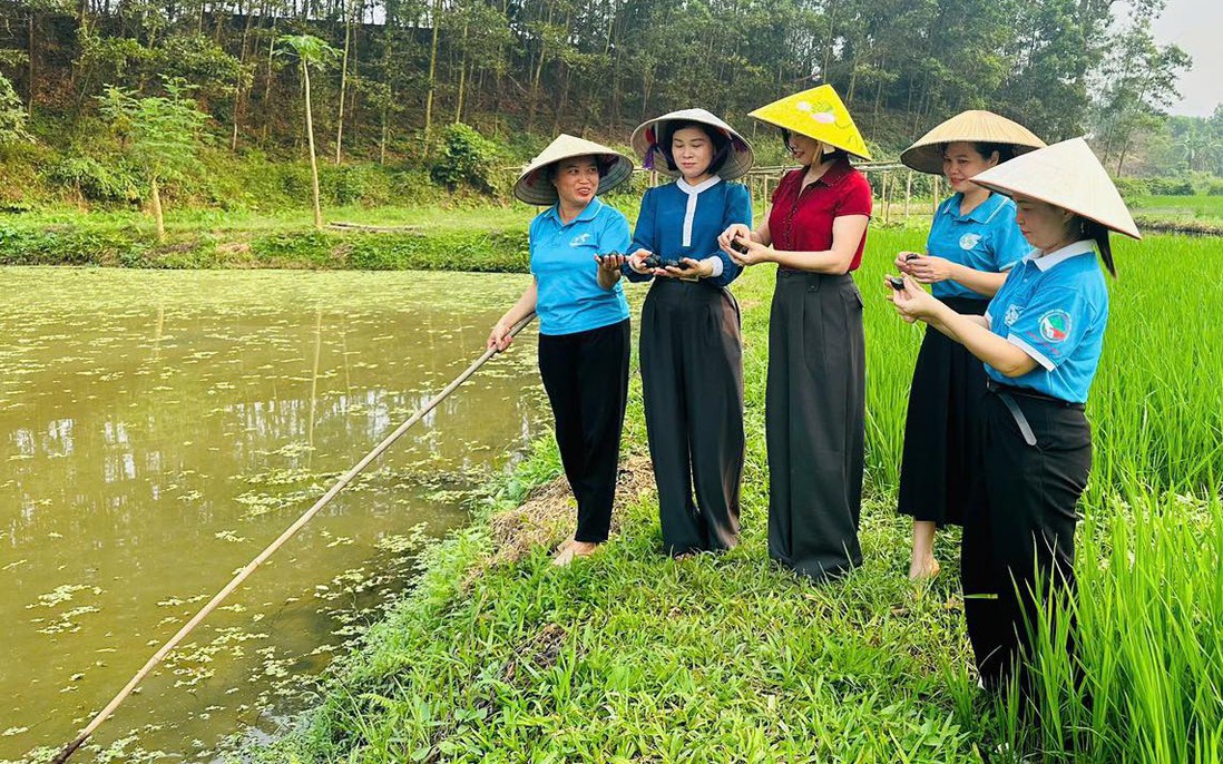 Người phụ nữ ở Hợp Thành tiên phong biến ruộng trũng thành “mỏ vàng” ốc nhồi
