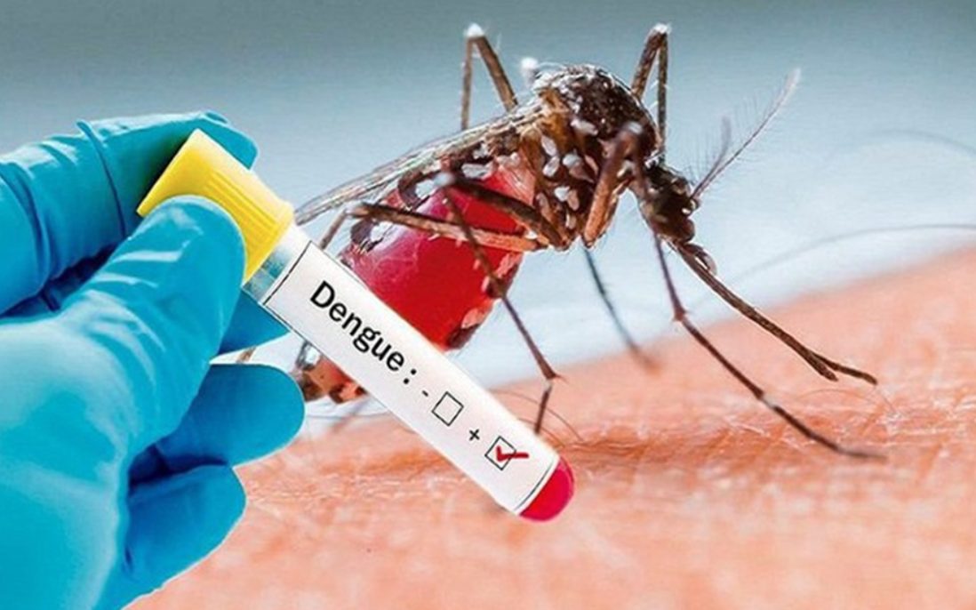 Sốt xuất huyết Dengue diễn biến khó lường, cả nước đã ghi nhận hơn 50.000 ca mắc