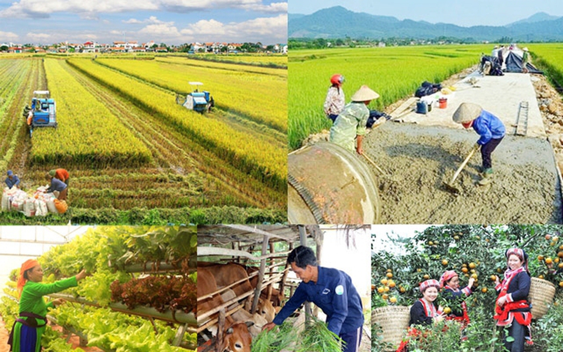 Giao bổ sung vốn ngân sách Trung ương thực hiện 2 Chương trình mục tiêu quốc gia