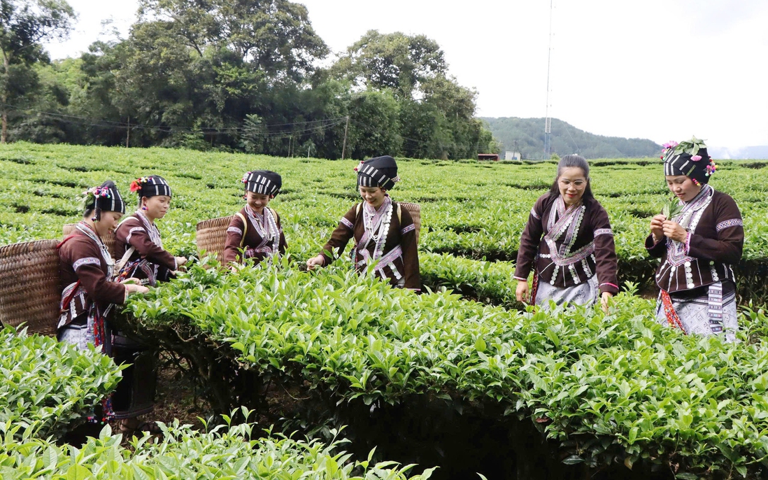Lai Châu thực hiện Đề án "Hỗ trợ phụ nữ khởi nghiệp giai đoạn 2026-2035"