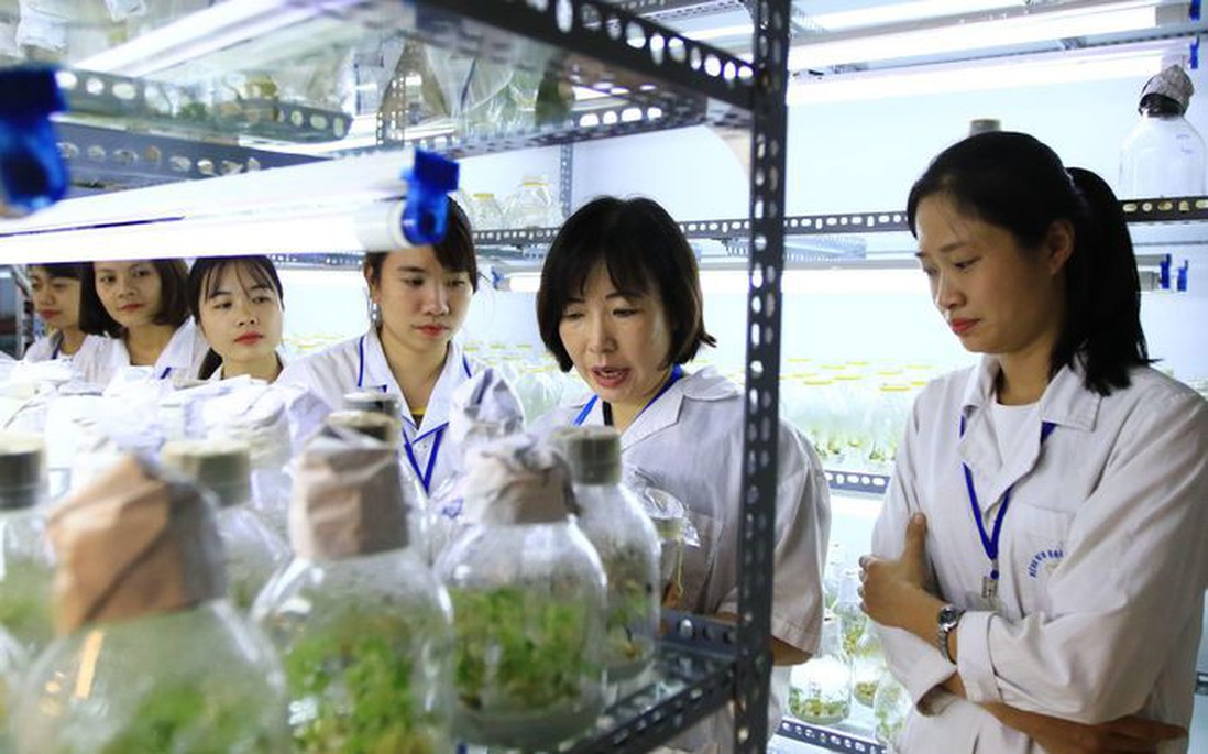 Khai thông dòng chảy đưa nghiên cứu của các nhà khoa học nữ ra thị trường