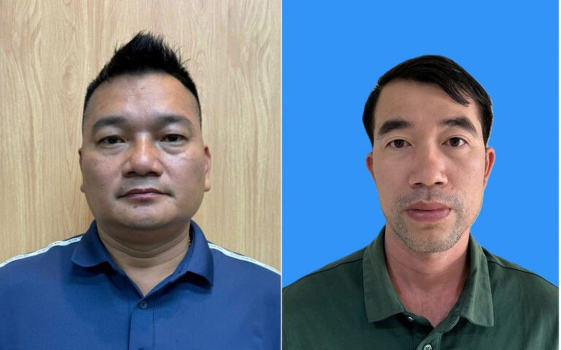 Mua bán vảy tê tê Java và tê tê vàng, 3 đối tượng bị khởi tố