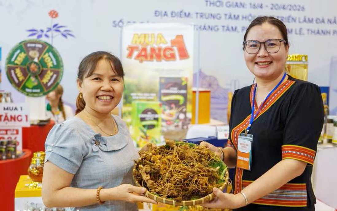 Đà Nẵng phát động Mùa khuyến mại hè 2026 với ưu đãi lên đến 100%