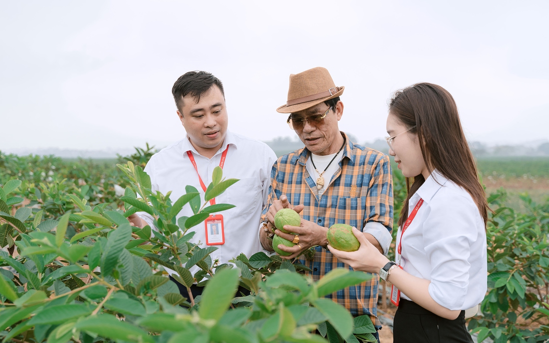 Agribank và Hội Nông dân Việt Nam: Cầu nối đưa nguồn vốn và dịch vụ tài chính đến gần hơn với người nông dân