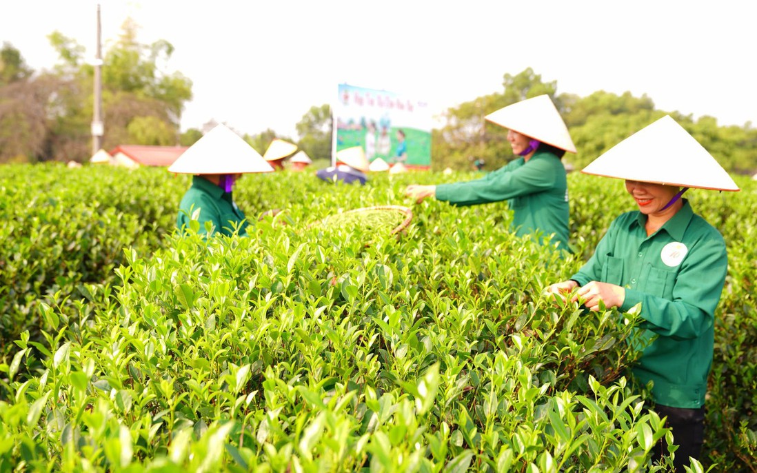 Giữ gìn văn hóa bản địa, tạo sinh kế từ mô hình HTX do phụ nữ tham gia quản lý
