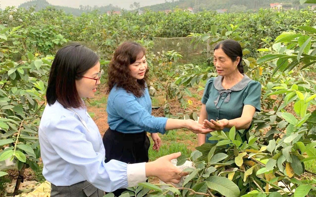 Phát triển hợp tác xã do phụ nữ quản lý: Từ chủ trương đến những chuyển biến tích cực