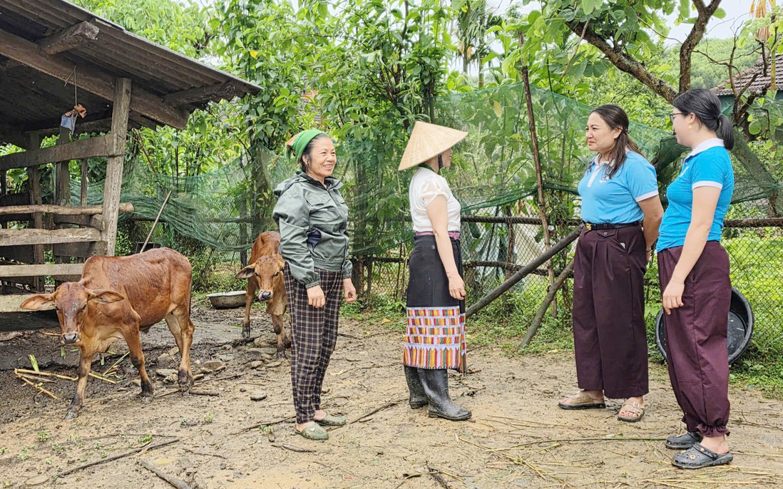Nguồn vốn chính sách chắp cánh sinh kế cho phụ nữ dân tộc thiểu số tại Nghệ An