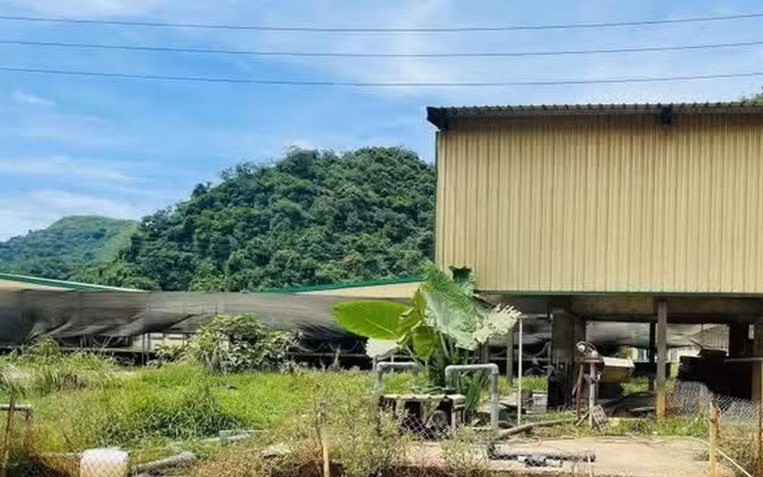 Bộ Nội vụ yêu cầu làm rõ vụ tai nạn lao động khiến 5 người tử vong tại Dabaco Thanh Hóa